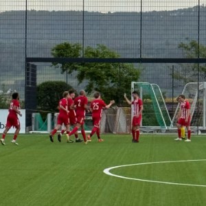 FCP 1 - Auswärtsspiel in Herrliberg (05.05.25)